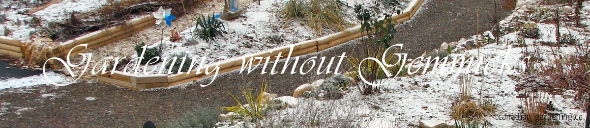 Snow-covered Zone 6 garden showing winter-hardy perennials and self-seeding flowers