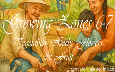 Gardening in Canadian Zones 6–7