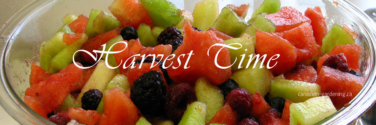 Seasonal harvest of vegetables and fruits