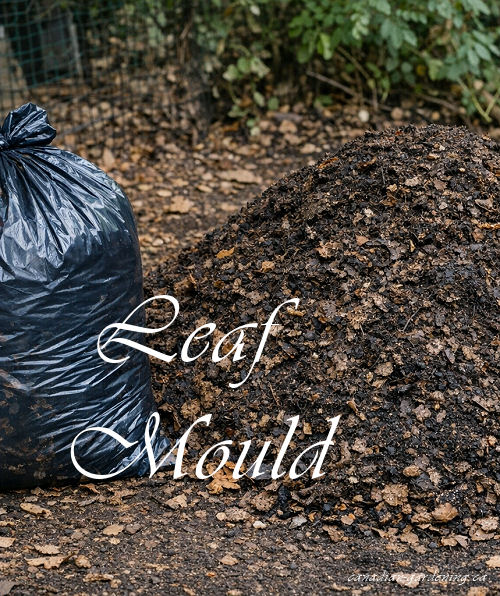 Leaf mould soil texture