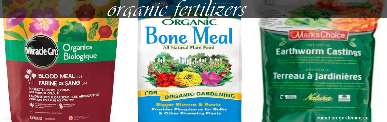 Organic fertilizers for Canadian gardens
