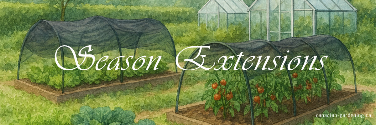 Season extensions in a Canadian garden