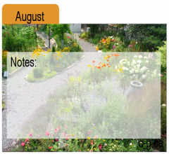 August Seed Divider