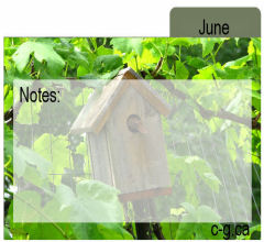 June Seed Divider