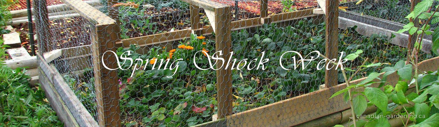 Spring garden beds in transition weather