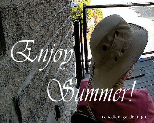 enjoying Summer garden