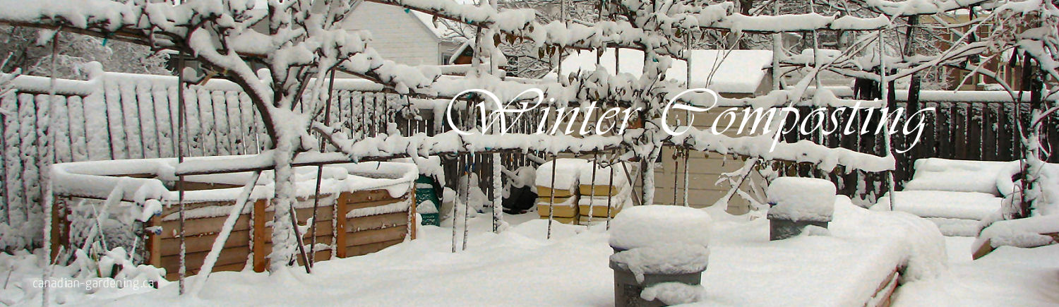 Winter compost setup