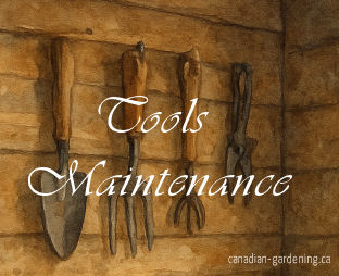Gardening tools in winter